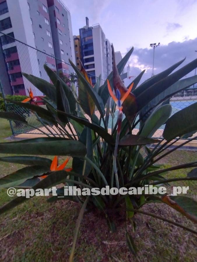 Apto Cond Ilhas Do Caribe - Pr - Beira Mar Matinhos Exteriör bild