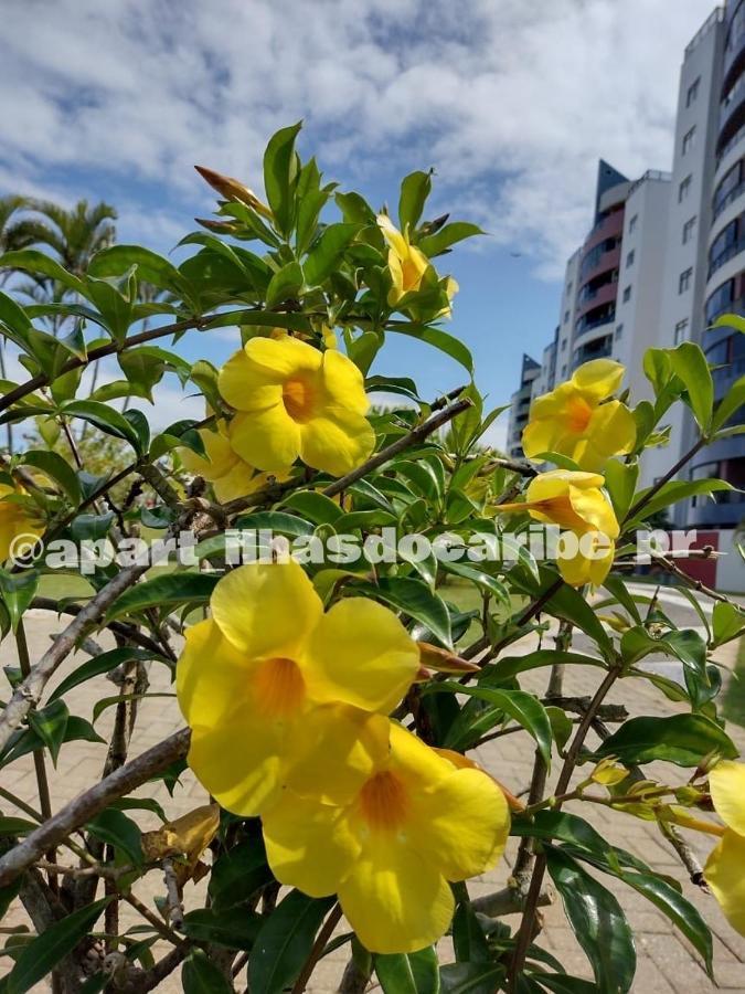 Apto Cond Ilhas Do Caribe - Pr - Beira Mar Matinhos Exteriör bild